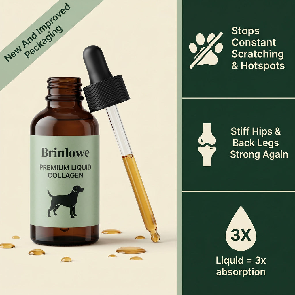 Brinlowe™ Premium Liquid Collagen